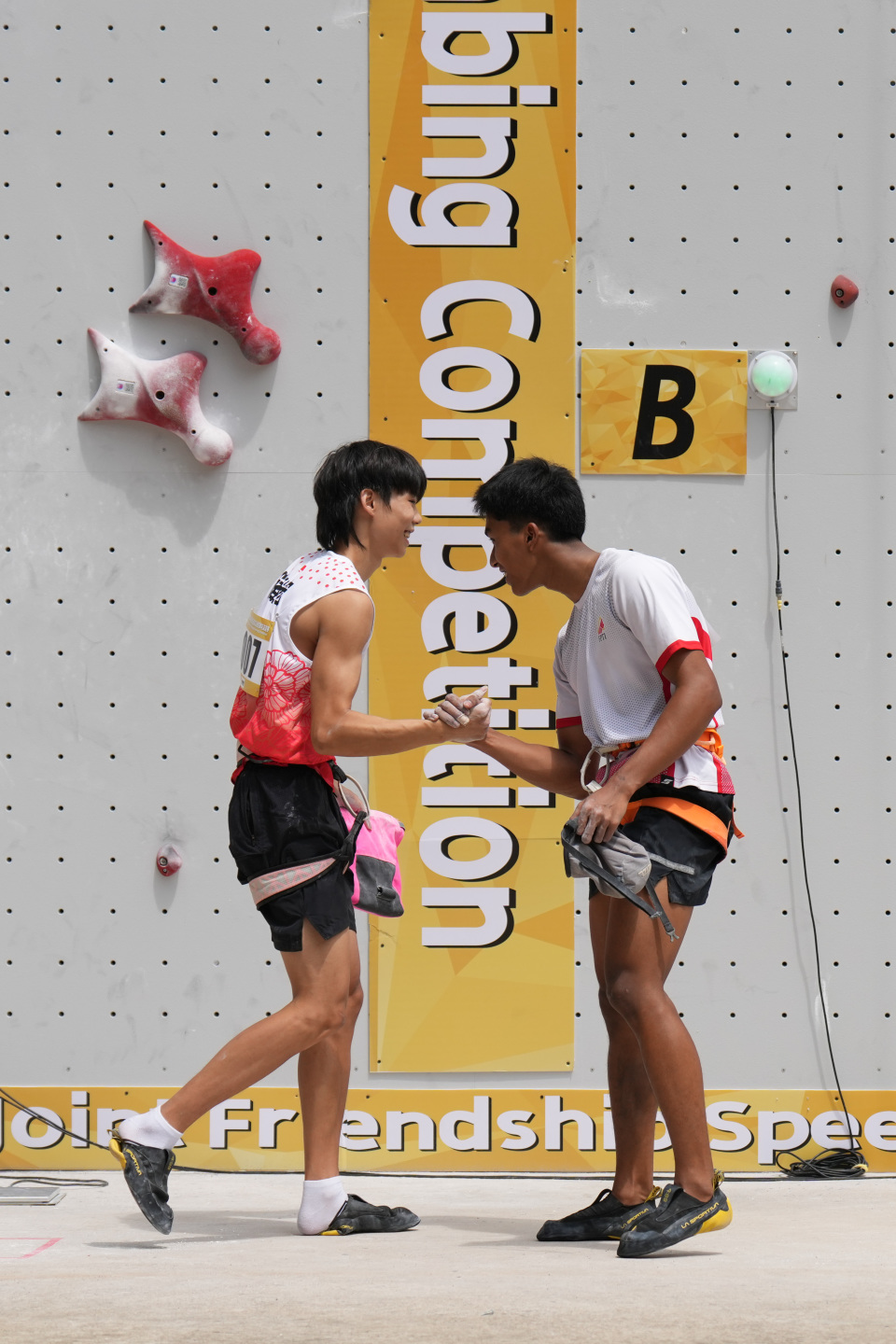 ymfpD, NAIAA ymfpD, NAIAA