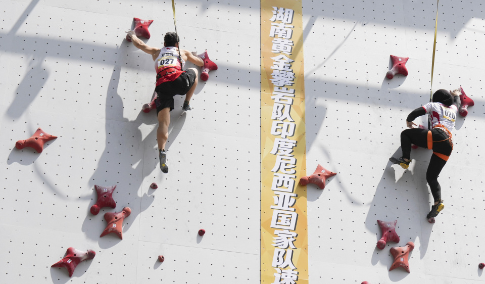 湖南黄金攀 湖南黄金攀